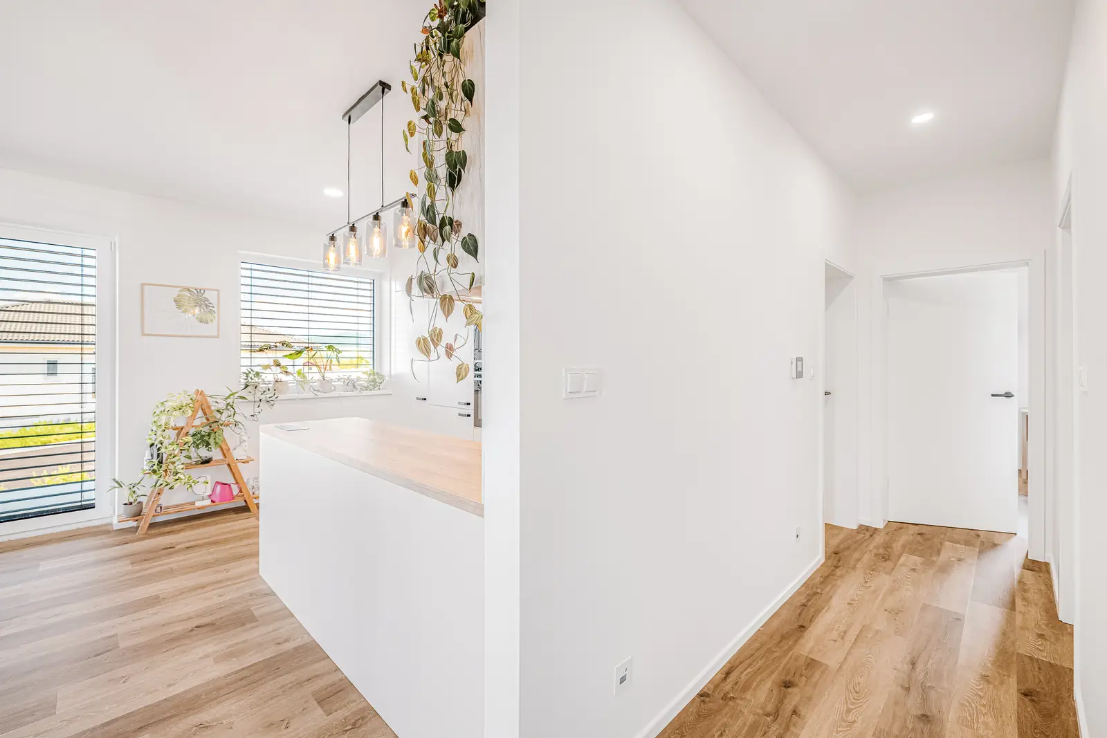 Projekt výstavby domov Drienov Living